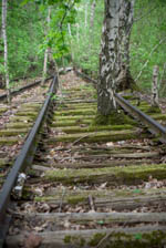 Natur Park Südgelände Natur Park Südgelände