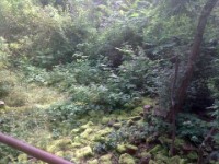 Naturschutz/Landschaftspflege Naturschutz/Landschaftspflege