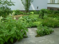 Sommer 2010