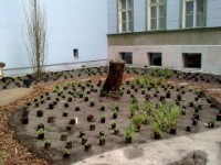 Staudenbepflanzung