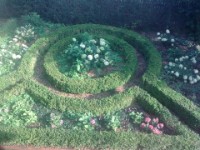 Hortensiengarten mit Buchsbaum-Rondell