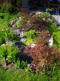 Fertige Anlage Sommer 2011