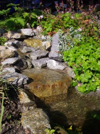 Detail Bachlauf nach 4 Monaten