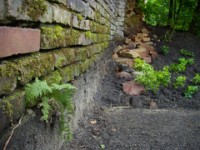 Farngarten, Entwicklung und Fortführung