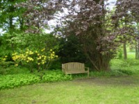 Landhausgarten Mammoißel Landhausgarten Mammoißel